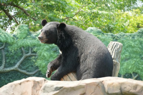 Jo briançon : une ville en pleine effervescence pour 2030
